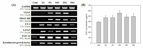 전자기장 강도(70Hz, 2G~50G)에 따른 모유두세포 활성 사이토카인 및 성장인자 발현 분석 결과