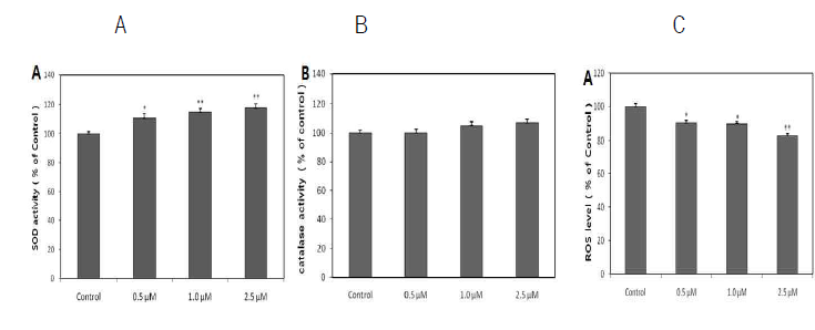 Effects of magnolol on the antioxidant enzyme activity, and the intracellular ROS levels of wild type N2 nematodes