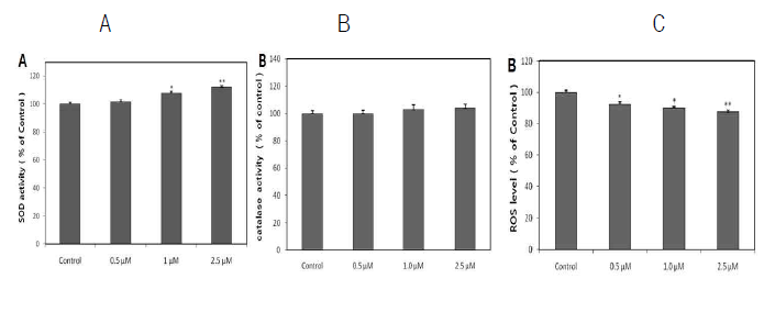 Effects of Honokiol on the antioxidant enzyme activity, and the intracellular ROS levels of wild type N2 nematodes