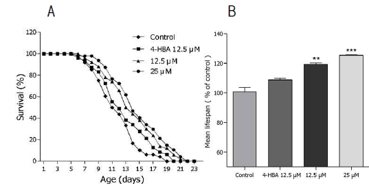 Effects of 6-shogaol isolated from Z. officinale on the lifespan of C. elegans. (A) The mortality of each group was determined by daily counting of surviving and dead animals. (B) The mean lifespan of the N2 worms was calculated from the survival curves in (A)
