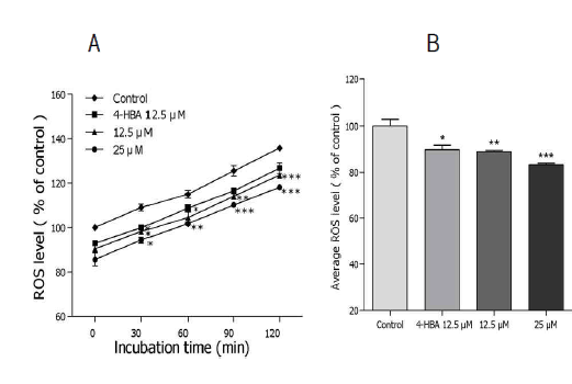 Effects of 6-shogaol on the intracellular ROS levels of wild-type N2 nematodes. Intracellular ROS accumulation was examined in a microplate fluorescence reader at 535 nm (emission) and 485 nm (excitation). (A) Plates were read for 120 min. (B) The average percentages of intracellular ROS accumulation were presented