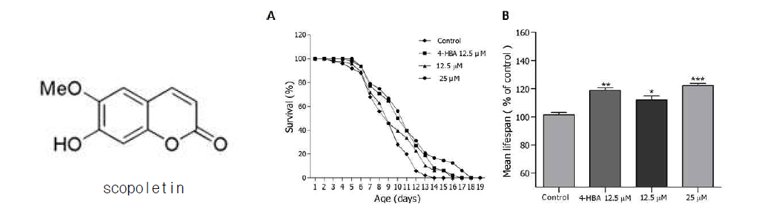 Effects of scopoletin isolated from Artemisia capillaris on the lifespan of C. elegans. (A) The mortality of each group was determined by daily counting of surviving and dead animals. (B) The mean lifespan of the N2 worms was calculated from the survival curves in (A)