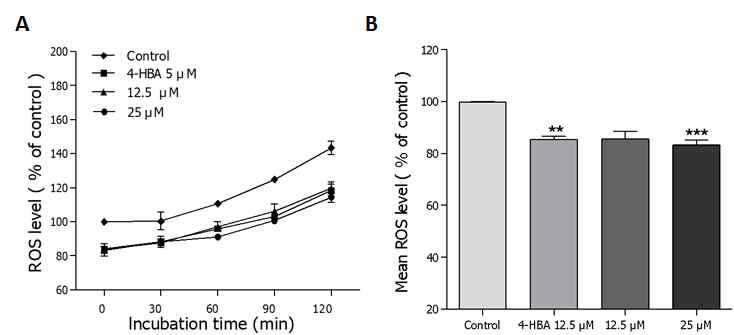 Effects of scopoletin on the intracellular ROS levels of wild-type N2 nematodes. Intracellular ROS accumulation was examined in a microplate fluorescence reader at 535 nm (emission) and 485 nm (excitation). (A) Plates were read for 120 min. (B) The average percentages of intracellular ROS accumulation were presented