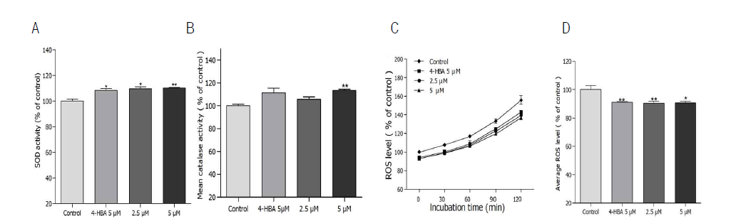 Effects of alizarin on the antioxidant enzyme activity, and the intracellular ROS levels of wild type N2 nematodes