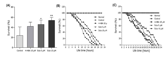 Effects of sciadopitysin on the stress tolerance of wild-type N2 nematodes