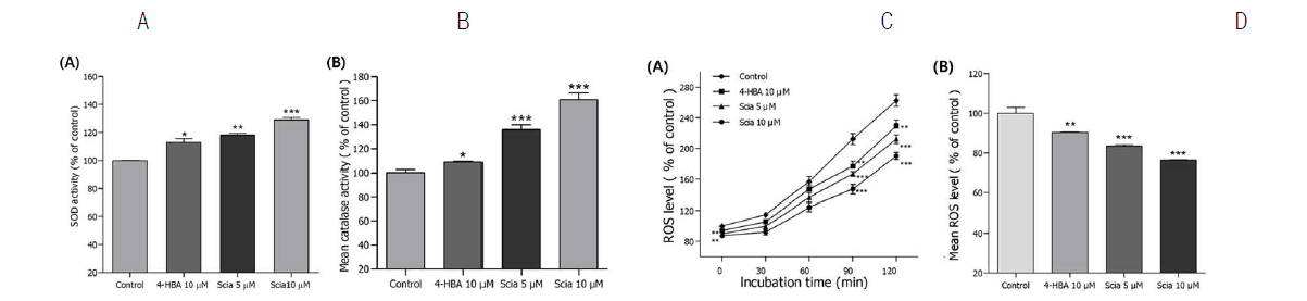 Effects of sciadopitysin on the antioxidant enzyme activity, and the intracellular ROS levels of wild type N2 nematodes