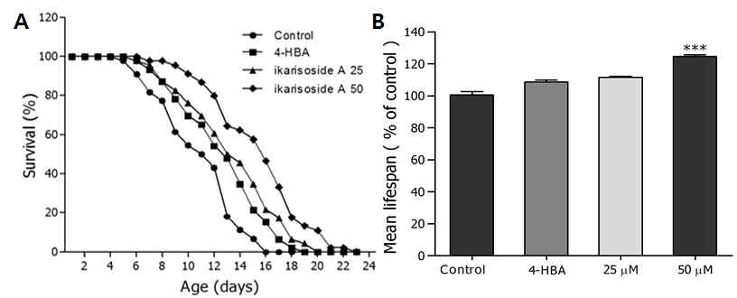 Effects of ikarisoside A isolated from Z. officinale on the lifespan of C. elegans. (A) The mortality of each group was determined by daily counting of surviving and dead animals. (B) The mean lifespan of the N2 worms was calculated from the survival curves in (A)