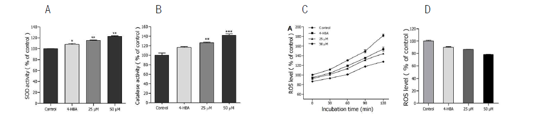 Effects of ikarisoside A on the antioxidant enzyme activity, and the intracellular ROS levels of wild type N2 nematodes