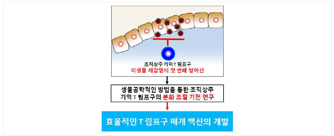 연구개발 목표