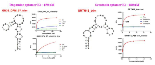 세로토닌, 도파민에 선택성을 갖는 앱타머 구조 및 Kd 값 비교