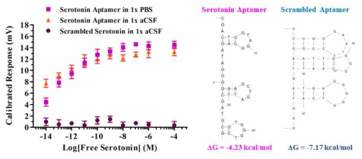 1x aCSF 용액 내 세로토닌 선택적 앱타머와 scrambled 앱타머 사이에서의 선택적 검출 특성 비교 결과