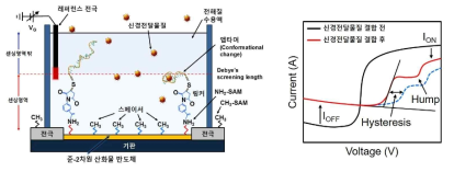 제안한 준-2차원 산화물 반도체-압타머 기반 신경전달물질 센서 모식도 및 특성 평가 방법