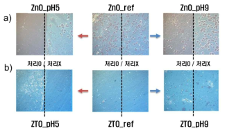 박막의 종류 및 제작 조건에 따른 실험결과 a) ZnO 박막, b) ZTO 박막