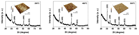 250도, 400도, 550도 온도조건 변화에 따른 준-2차원 인듐산화물 박막의 결정특성 및 표면 거칠기 변화