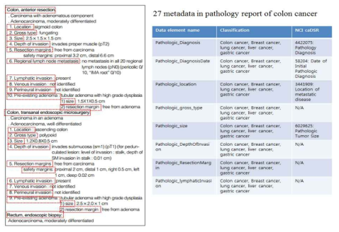 5대암 중심으로 추출된 메타데이터와 NCI caDSR 메타데이터간 맵핑 시행