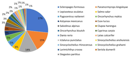 Hit species distribution of Anguilla japonica transcriptome by BLAST