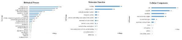 Functional annotation of eel contigs associated with GO terms