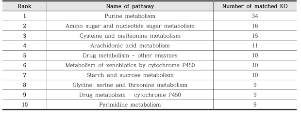 Top 10 well-annotated metabolic pathways from eel transcriptome