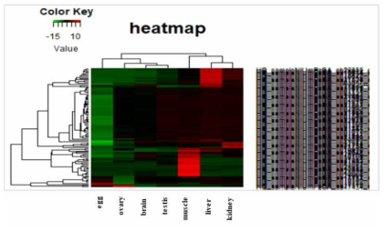 Hierachical clustering of the top 100 genes expressed in different tissues of the eel Anguilla japonica