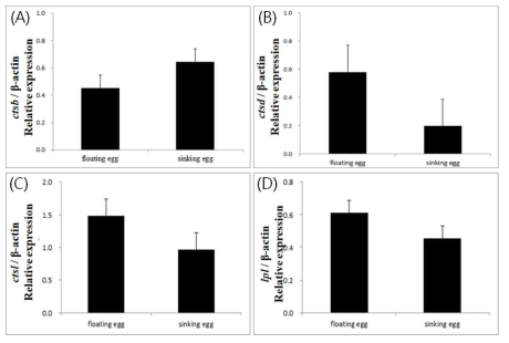 Relationship of expressions of yolk processing enzyme genes with fertilization rate in the eggs of eel. (A) Regression analysis showed that the expression level of ctsb decreased as the fertilization rate increased (p 0.05). (D) Transcript of lpl tended to increase as the fertilization rate increased, although not significant (p> 0.05)