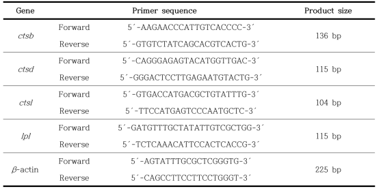 Primers for RT-qPCR of ctsb, ctsd, ctsl, lpl and β-actin for Japanese eel