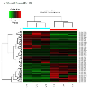 Hierachical clustering of the genes expressed in summer and winter egg groups of the eel Anguilla japonica