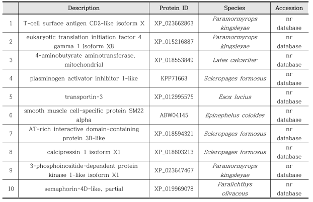 Top 10 transcripts expressed most abundantly in winter eggs of eel