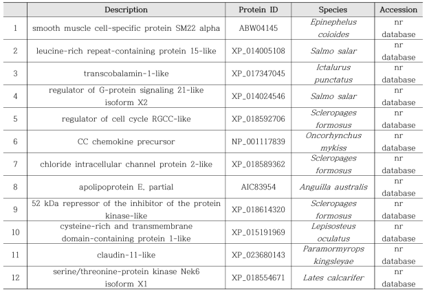 Top 12 transcripts expressed most abundantly in unfertilized eggs of eel