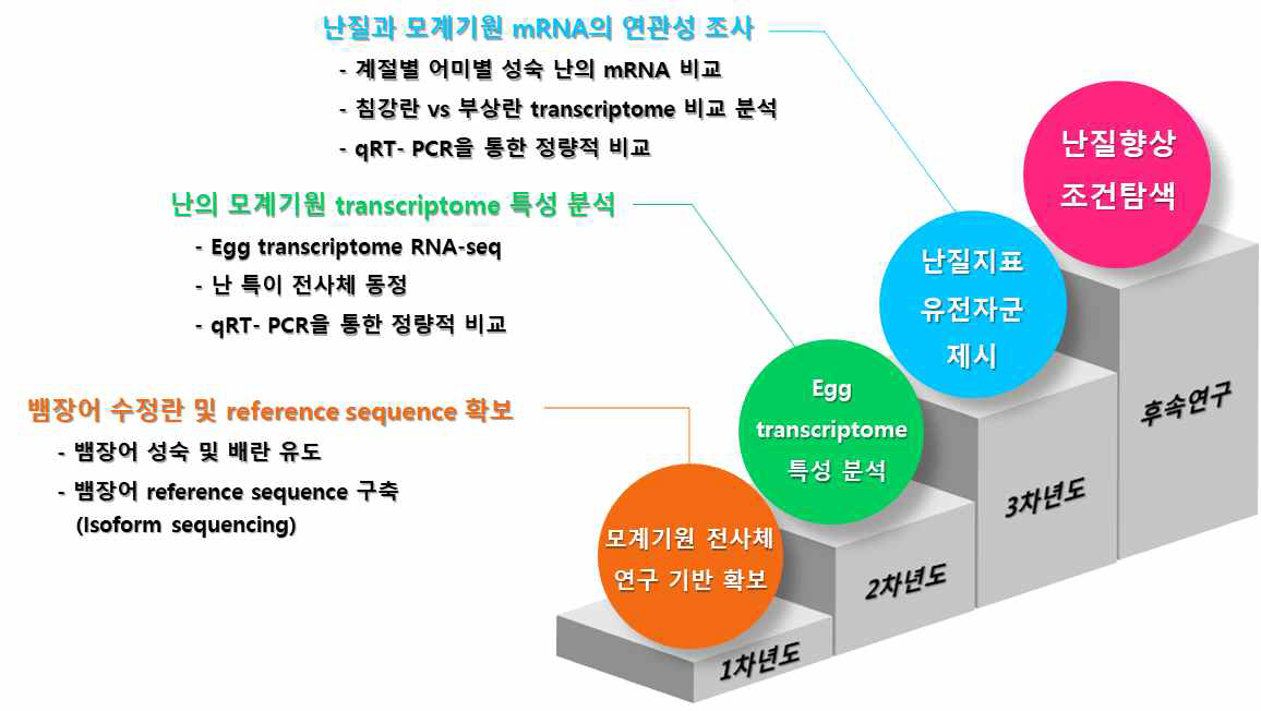 연구 수행 내용