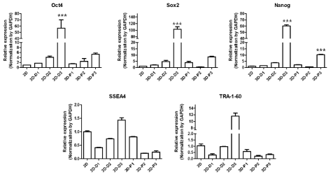 치아줄기세포의 pluripotent related marker 발현 분석