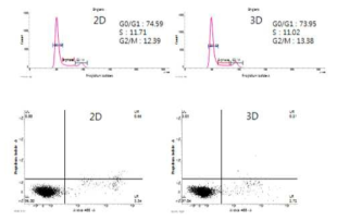 치아줄기세포의 3차원 배양에 따른 스페로이드 특성 분석 결과, (위) 세포 주기 분석 (아래) 세포 viability 분석