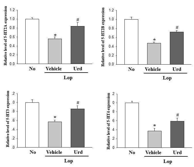 Expression level of four types of 5-HT receptors in transverse colon after the treatment of uridine