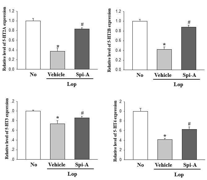 Expression level of four types of 5-HT receptors in transverse colon after the treatment of spicatoside A