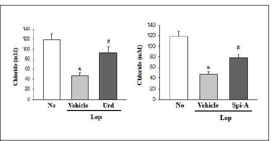 Chloride concentration in IEC-18 after the treatment of uridine and spicatoside A