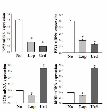 Expression level of P2Y receptor and MOR in colon after the treatment of uridine
