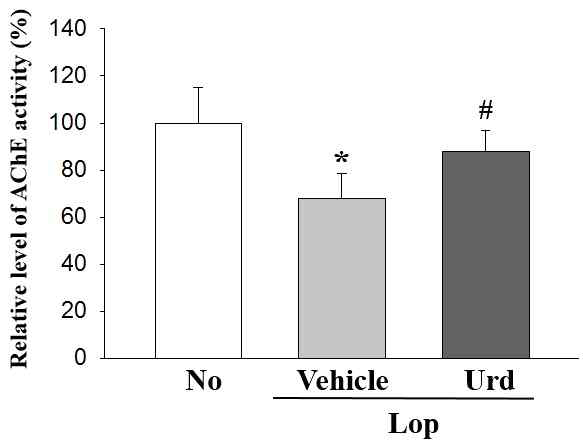 AChE activity analysis in transverse colon after the treatment of uridine