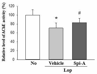 AChE activity analysis in transverse colon after the treatment of spicatoside A