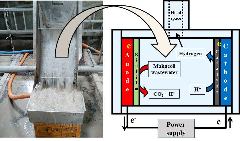막걸리 폐수를 적용한 미생물전기분해전지의 모식도