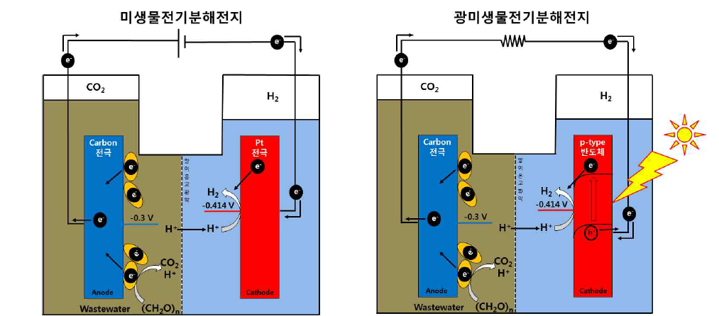 미생물전기분해전지 및 광미생물전기분해전지에 의한 폐수로부터의 수소발생