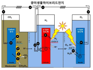 p-type Cu2O와 n-type hematite를 각각 cathode와 anode로 사용한 광미생물하이브리드전지의 모식도