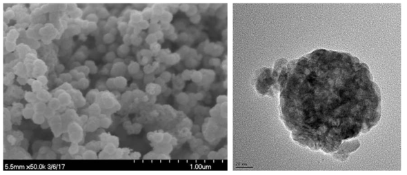 (좌) 주사전자현미경과 (우) 투과전자현미경법을 이용하여 얻은 산화구리 나노입자의 사진