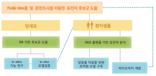 연구개요