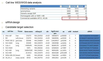 암세포주 target 선정 및 siRNA 디자인