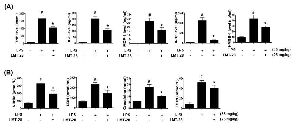 LPS-유도 패혈증 모델에서 LMT-28 약물의 혈청내 염증마커 분석(A) 및 다장기 기능부전 분석(B). LPS(35 mg/kg)를 복강 투여 하고 LMT-28(25 mg/kg)을 미정맥 투여하여 혈청내 염증마커 및 다장기 기능부전 관련 파라미터들을 분석함.(N=3, *p< 0.05)