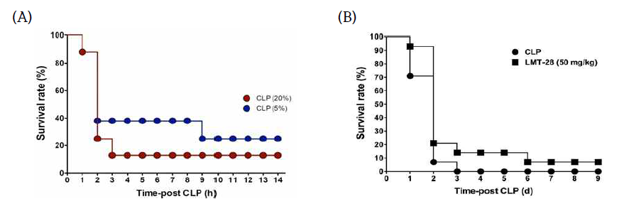 CLP-유도 패혈증 모델 확립(A) 및 LMT-28 약물의 효능분석(B). CLP 수술 과정중 cecum ligation 위치를 5%와 20%로 수행한 후 14일간의 생존율을 비교함(A). CLP 수술로 패혈증을 유도한 후, LMT-28(50 mg/kg)을 9일간 매일 경구투여하여 생존율을 확인함(B) (N=14~15,p =0.06)