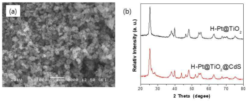 (a)H-Pt@TiO2@CdS의 SEM 분석 결과 및 XRD 분석 결과