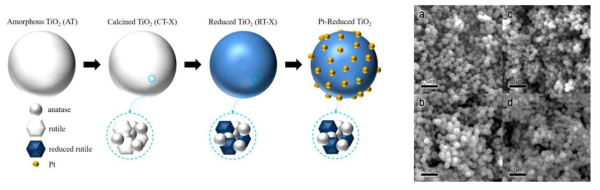 색을 띄는 TiO2 입자의 제조 과정을 간략히 나타낸 모식도 (왼쪽) 및 제조된 입자의 주사전자 현미경 분석 결과 (오른쪽) (차례로 (a) CT-600, (b) CT-800, (c) RT-600, (d) RT-800. CT; calcined TiO2, RT; reduced TiO2)