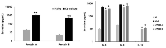 최종 후보 단백질 검증 I (좌:단백질 분비능, 우:재조합 단백질에 의한 사이토카인 측정, ** p< 0.01, * p<0.05, vs. M+L)