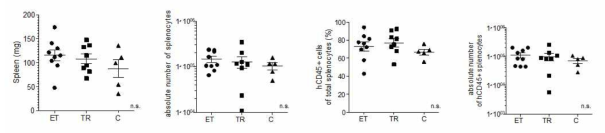 인간화 마우스 내에서 IL-2/IL-2 mAb complex 주입 후, 비장 내 면역 세포 변화