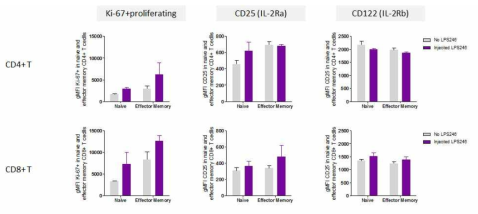 LPS246의 주입 후 효능 T세포에서의 증식 정도 및 사이토카인 수용체의 발현 변화 확인